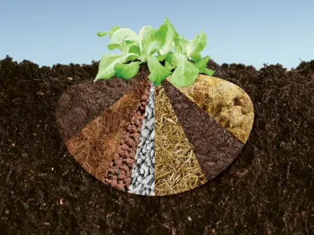 Luftbild des Atommeilers Leibstadt an einem Fluss in einer idyllischen Landschaft gelegen. Ein Dorf liegt in unmittelbarer Nähe.