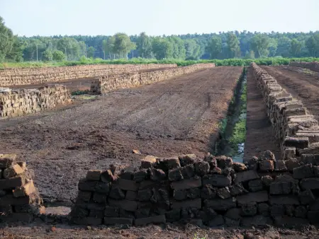 Auf einer weitläufigen, entwässerten Fläche fehlt die oberste Bodenschicht. Am Rand stapeln sich ziegelförmige Erdklumpen. 