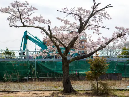 Ein Mann steht neben einer Ruine, hinter ihm hängen bunte Kranich-Girlanden vor einer Steinwand. 