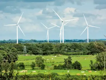 Landschaftsaufnahme: Grüne Weiden voller Kühe und Wald im Wechsel, dahinter stehen sechs Windräder.