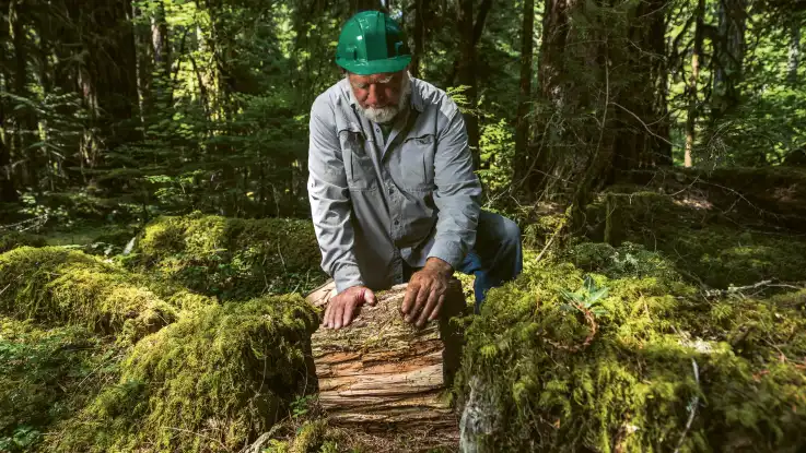 Aus der Vogelperspektive: Hinter einem Wald öffnet sich eine breite Schneise ohne Oberboden und Vegetation. 