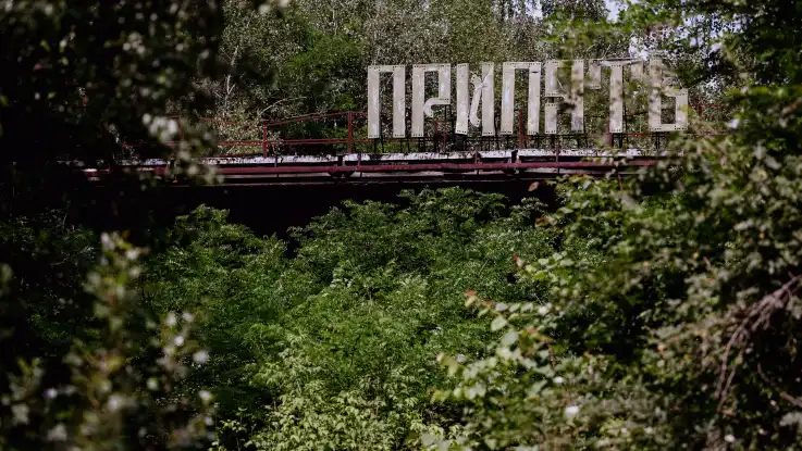 Aus einem grünen Dickicht ragt ein altes, verrostetes Schild in kyrillischer Schrift hervor.