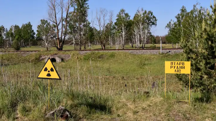 Hinter einem Bahndamm steht ein Birkenhain – davor stehen zwei schwarz-gelbe Schilder, eines trägt das Zeichen für Radioaktivität. 