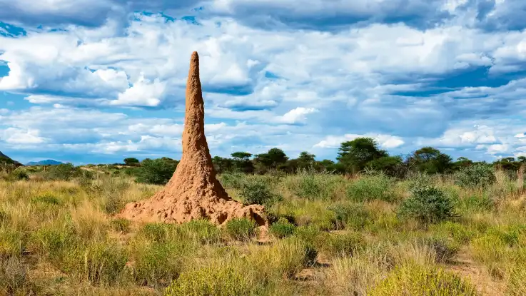 Landschaftsaufnahme: Ein einzeln stehender Turm aus Lehm ragt mehrere Meter in den blau-weißen Himmel. 