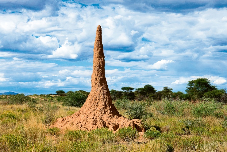 Ein einzeln stehender Turm aus Lehm ragt mehrere Meter in den blau-weißen Himmel.
