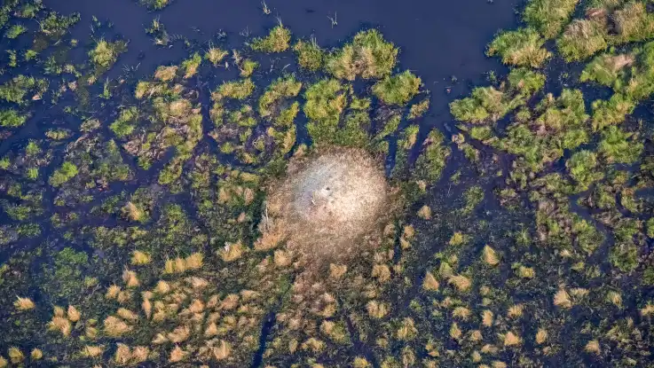 Luftaufnahme: Wie eine Insel erhebt sich ein hügelartiger Bau aus einer überfluteten Wiesenlandschaft. 