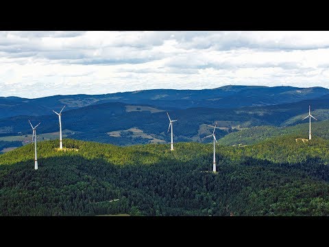 Video-Vorschau